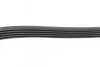 Пас поліклиновий Citroen Jumper 2.8HDI 00-/Fiat Du CONTINENTAL Contitech 5PK1100 (фото 3)