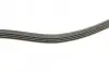 Пас поліклиновий Chrysler PT Cruiser 2.0/2.4 00-10 CONTINENTAL Contitech 4PK1310 (фото 6)