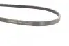 Пас поліклиновий Ford Kuga II/Focus III 2.0-2.5 12 CONTINENTAL Contitech 4PK1360 (фото 2)