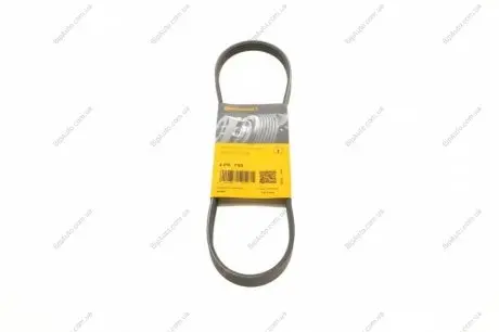 Ремень поликлиновой Contitech 4PK795