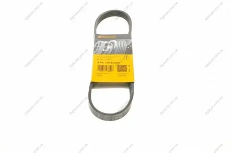 Пас поліклиновий Mazda 3/5 1.8/2.0 03- CONTINENTAL Contitech 5PK716ELAST