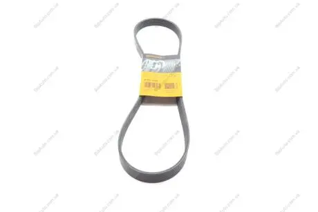 Ремінь генератора поліклиновий CONTINENTAL Contitech 6PK1084