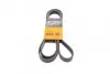 Доріжковий пас CONTITECH 6PK2077 6PK2077