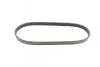 Пас поліклиновий Ford Fiesta 1.3 96-03/Opel Movano CONTINENTAL Contitech 6PK862 (фото 4)
