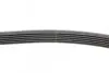 Пас поліклиновий Toyota Auris/ Yaris 1.33 09-12/Au CONTINENTAL Contitech 6PK890 (фото 2)