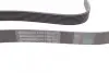 Пас поліклиновий MB Vario OM904 CONTINENTAL Contitech 8PK1420 (фото 2)