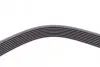 Пас поліклиновий MB Vario OM904 CONTINENTAL Contitech 8PK1420 (фото 3)