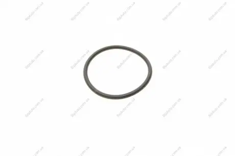 Резиновое кольцо BOSCH F 00R 0P0 166 (фото 1)