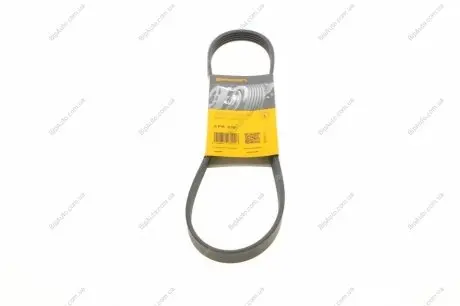 Пас поліклиновий Opel Omega B 2.5DTI 01-03 CONTINENTAL Contitech 5PK830