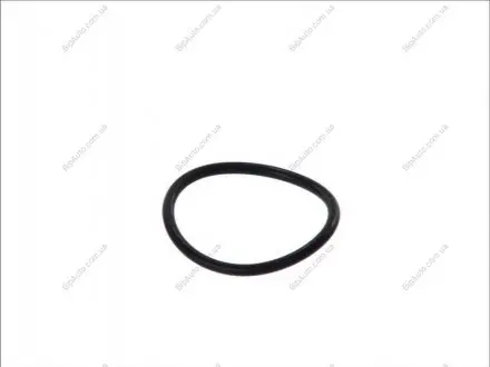 Прокладка термостату VW T4/T5 1.9/2.0 TD/TDI 90-09 ELRING 761.109