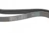 Пас поліклиновий MB Vario OM904 (+AC) CONTINENTAL Contitech 8PK2080 (фото 3)