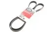 Поликлиновой ремень 6PK1670 Gates