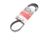 Поліклиновий ремінь Gates 6PK1163