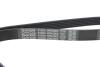 Поликлиновой ремень DAYCO 6PK2063 (фото 4)