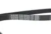 Поликлиновой ремень DAYCO 6PK2063 (фото 4)
