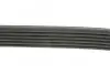 Поликлиновой ремень DAYCO 6PK1815 (фото 6)