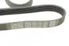 Поликлиновой ремень DAYCO 6PK1755 (фото 4)