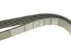 Поликлиновой ремень DAYCO 6PK1660 (фото 4)