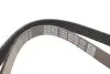 Поликлиновой ремень DAYCO 6PK1450 (фото 3)