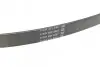 Пас поліклиновий Citroen Jumper/Peugeot Boxer 2.5D DAYCO 6PK915 (фото 3)
