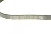 Поликлиновой ремень DAYCO 6PK900 (фото 3)