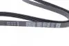 Ремінь генератора поліклиновий DAYCO 5PK1290 (фото 2)