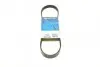 Доріжковий пас DAYCO 5PK810 5PK810