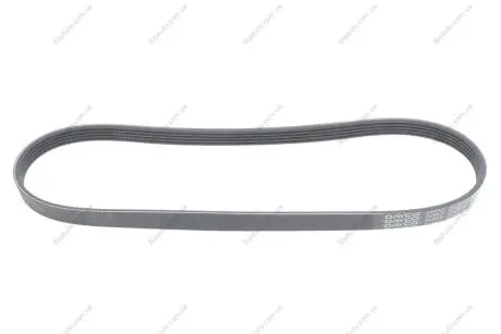Ремінь поліклін. DAYCO 5PK872