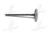 Клапан впускной (Toyota) Toyota / Lexus / Daihatsu 1371131101 (фото 3)