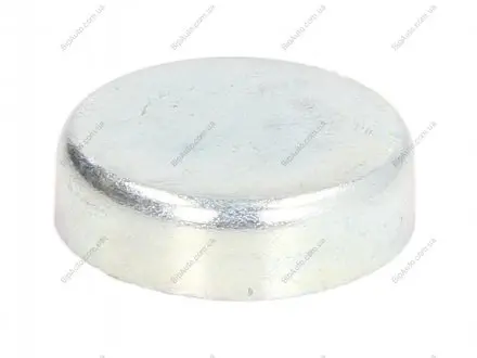 Пробка антифриза (FEBI) FEBI BILSTEIN 02544