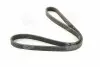Ремень поликлин. (пр-во SKF) VKMV6DK1195