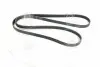 Ремень поликлин. SKF VKMV6PK2155 (фото 3)