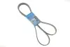 Поліклиновий ремінь SKF VKMV 6PK2196 VKMV6PK2196