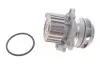 Водяний насос Caddy II/Golf IV/Octavia 1.9SDI/TDI 95-06 (19z) KOLBENSCHMIDT 50005132 50005132