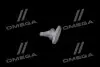 Клипса (Toyota) Toyota / Lexus / Daihatsu 6786712150 (фото 3)