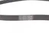 Пас поліклиновий Ford Focus 1.8/2.0 04-12 CONTINENTAL Contitech 6PK1240 ELAST (фото 2)