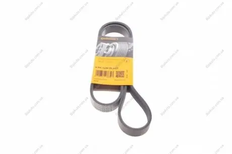 Пас поліклиновий Ford Focus 1.8/2.0 04-12 CONTINENTAL Contitech 6PK1240 ELAST (фото 1)