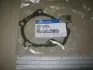Прокладка водяного насоса 2512423010 HYUNDAI 25124-23010