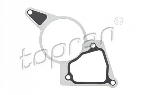 Прокладання вакуумного насоса 2.2TDCI FORD 1731754
