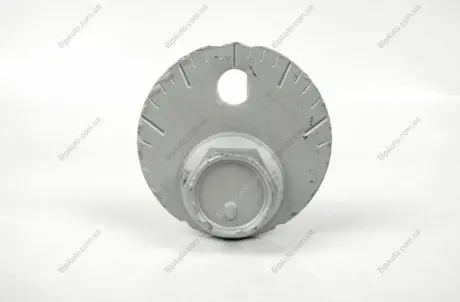 Болт регулювальний TOYOTA / LEXUS Toyota / Lexus / Daihatsu 4819060020