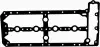 Прокладка клапанной крышки PEUGEOT/CITROEN/FIAT Ducato,Jumper,Boxer 3,0HDI 06- 71-38371-00