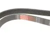 Ремень привода навесного оборудования Gates 6PK1525 (фото 4)