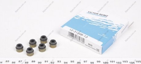 Сальник клапану, комплект SMART 0,6-0,7 0,8CDI (33-60kW) 98- VICTOR REINZ 12-31306-13 (фото 1)