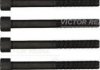 Комплект болтів головки циліндрів VICTOR REINZ 14-32184-01