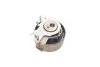 Водяний насос + комплект зубчатого ременя SKF VKMC 06002 (фото 7)