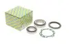 Подшипник ступицы, комплект TOYOTA Land Cruiser "98-07 R14115