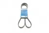 Поликлиновой ремень 6PK1548 1 987 947 547 BOSCH