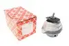 Подушка двигателя BMW 530 / BMW 520 / BMW 523 FEBI BILSTEIN 24081 (фото 1)