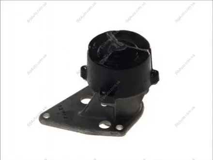 Вакуумний насос, гальмівна установка CITROEN/FIAT/IVECO/PEUGEOT PIERBURG 7.24808.11.0