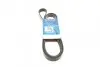 Ремень поликлиновый (пр-во DAYCO) 6PK2150S